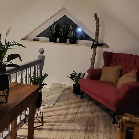 招待所 Miss Sophie 屈里茨