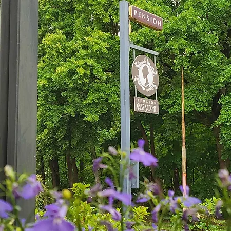 Miss Sophie 屈里茨