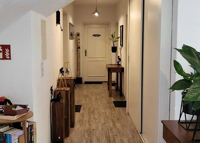 Miss Sophie 招待所