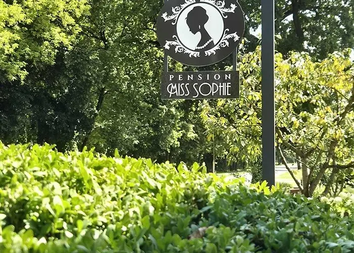 Miss Sophie 招待所