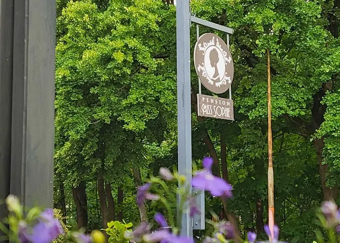 Miss Sophie 屈里茨