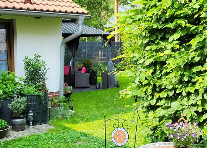 Miss Sophie 4* 屈里茨